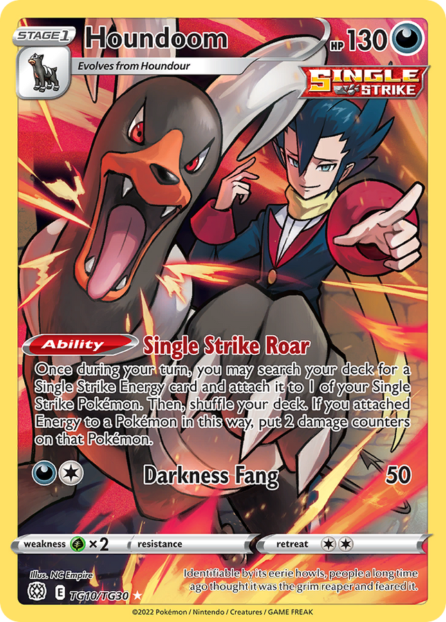Houndoom Trainer Gallery Rare Holo (TG10/TG30) Brilliant Stars Trainer Gallery
