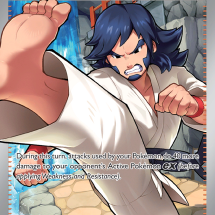 Black Belt's Training Ultra Rare (255/217) Ascended Heroes