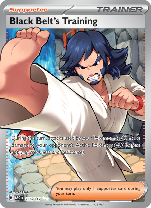 Black Belt's Training Ultra Rare (255/217) Ascended Heroes