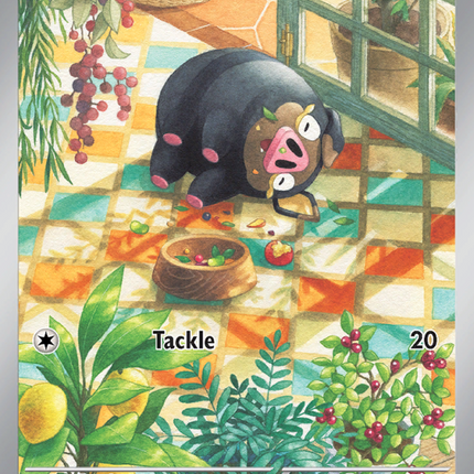 Lechonk Illustration rare (209/197) Obsidian Flames