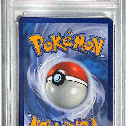 Lileep Illustration rare (145/142) Stellar Crown