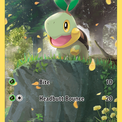 Collection image for: Pokemon Singles