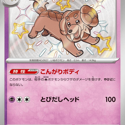 Dachsbun Shiny Rare (267/190) Shiny Treasure ex