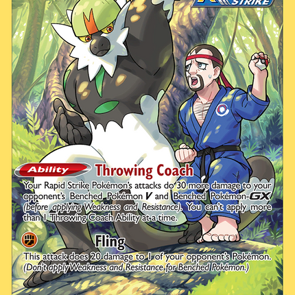Passimian Trainer Gallery Rare Holo (TG08/TG30) Silver Tempest Trainer Gallery