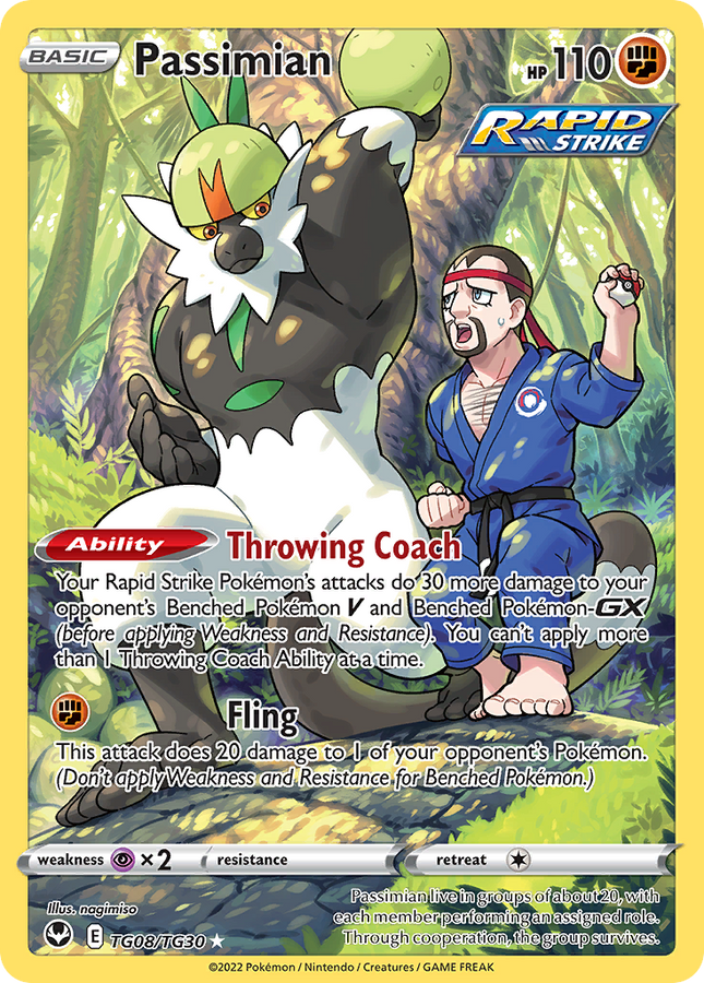 Passimian Trainer Gallery Rare Holo (TG08/TG30) Silver Tempest Trainer Gallery