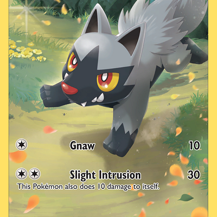 Poochyena Trainer Gallery Rare Holo (GG33/GG70) Crown Zenith Galarian Gallery