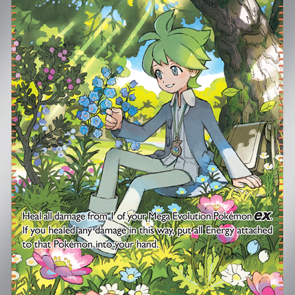 Wally's Compassion Special Illustration Rare (186/132) Mega Evolution