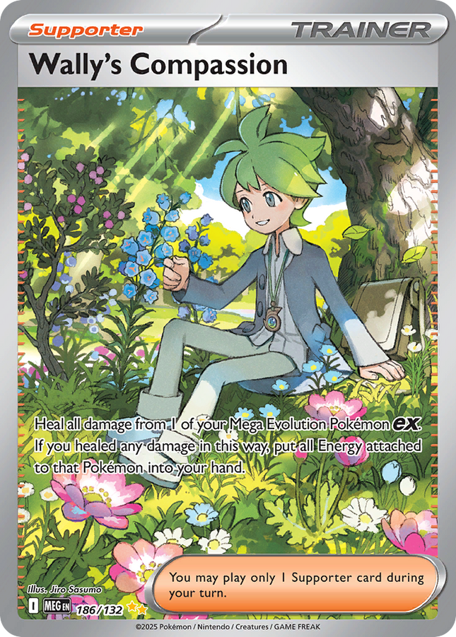 Wally's Compassion Special Illustration Rare (186/132) Mega Evolution