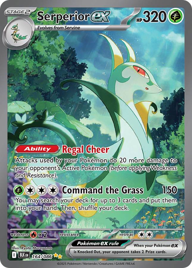 Serperior ex Special Illustration Rare (164/086) Black Bolt