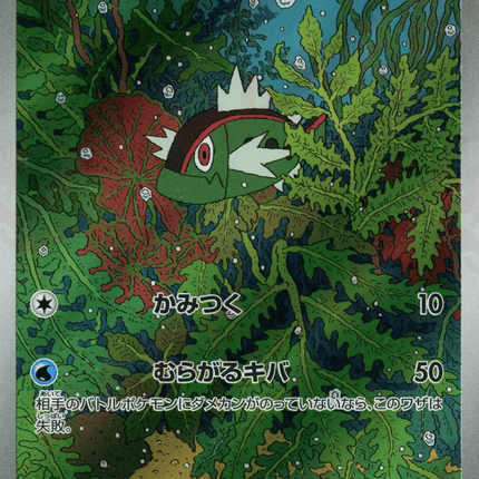 Basculin AR (105/086) – White Flare (Japanese)