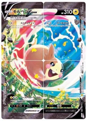 pokemon morpeko v-union special collection box cards