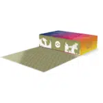 Charizard Ultra Premium Collection Box 2022 POkemon