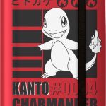 Ultra PRO - Charmander 9-Pocket PRO-Binder for Pokémon