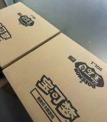 Pokemon Gem Pack Volume 4 Booster Box (CN) - Afbeelding 12